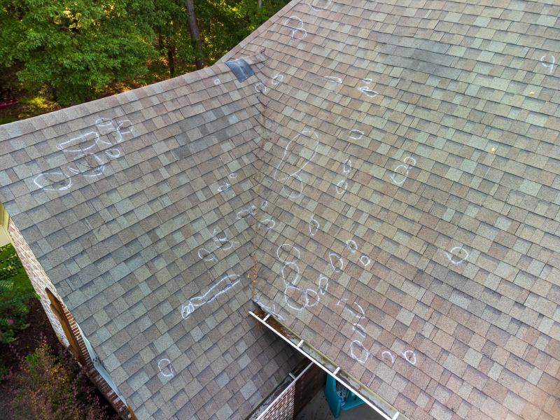 Asphalt Roof Inspection in Brighton, CO