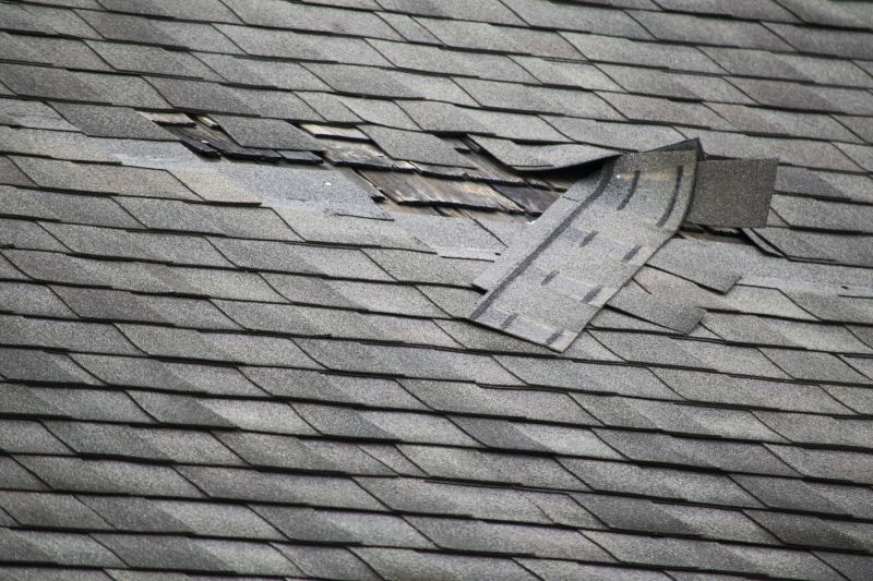 Asphalt Roof Repair in Boulder, CO