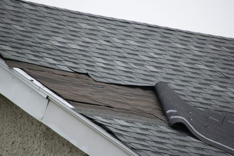 Asphalt Shingles Repair in Indian Hills, CO