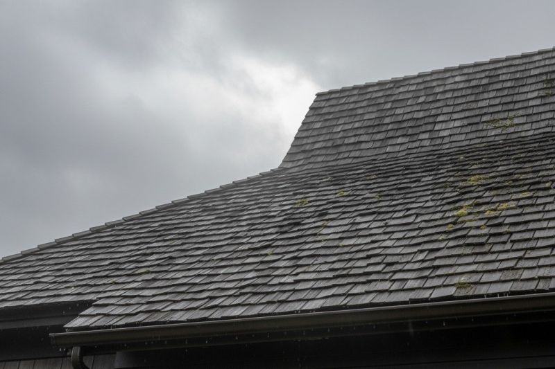 Cedar Roof Replacement in Lafayette, CO