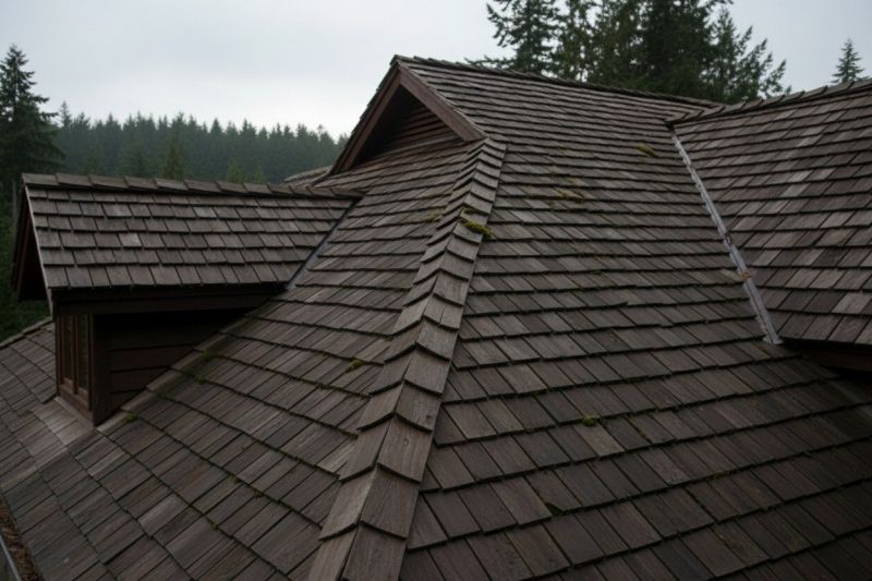 Cedar Shingles Replacement in Indian Hills, CO