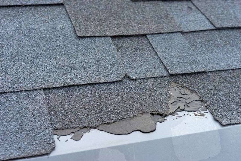 Damaged Roof Repair in Conifer, CO