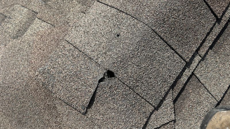 Damaged Roof Repair in Evergreen, CO