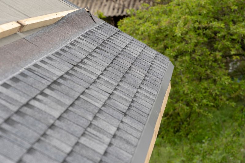 Damaged Roof Repair in Littleton, CO