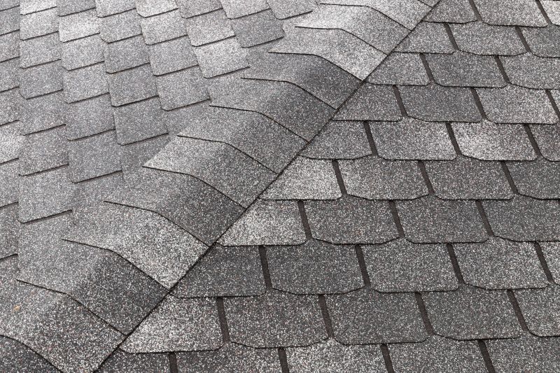 Roof Shingles Replacement in Adams County, CO