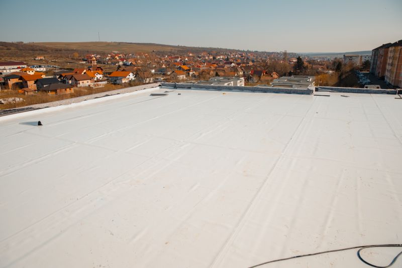 Rubber Roof Repair in Commerce City, CO