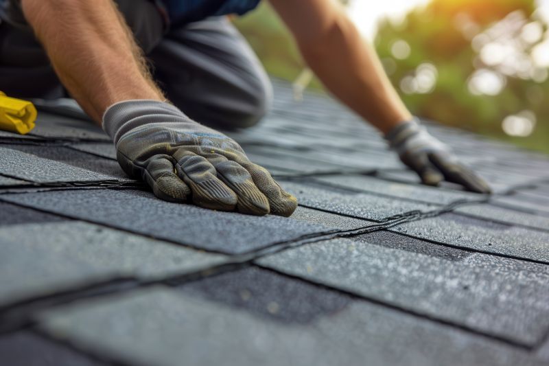 Shingles Repair in Douglas County, CO
