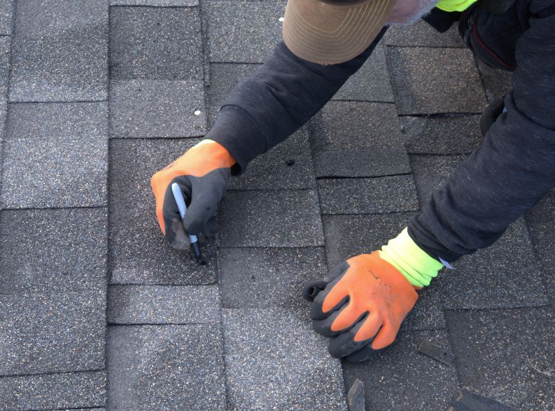Shingles Repair in Louisville, CO