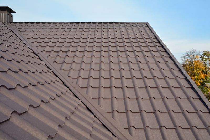 Tin Roof Installation in Boulder, CO