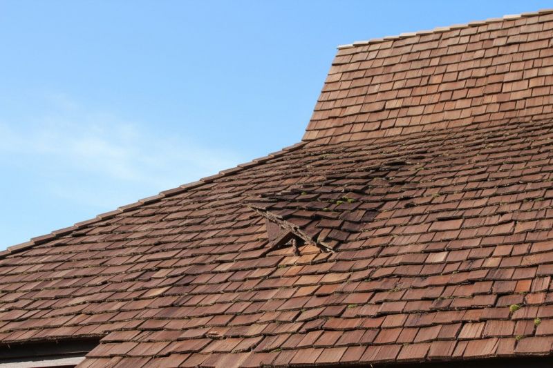 Wood Shake Roof Replacement in Conifer, CO